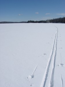 Ski trail at southwest end of Bog Lake in February.