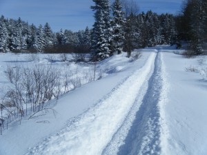 Two feet of fresh snow on the loop road at Robinwood Park.