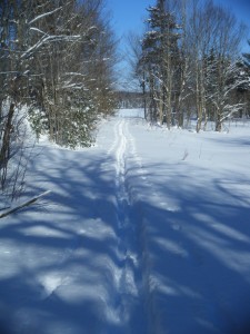 Ski trail leading to old lodge site in midwinter.